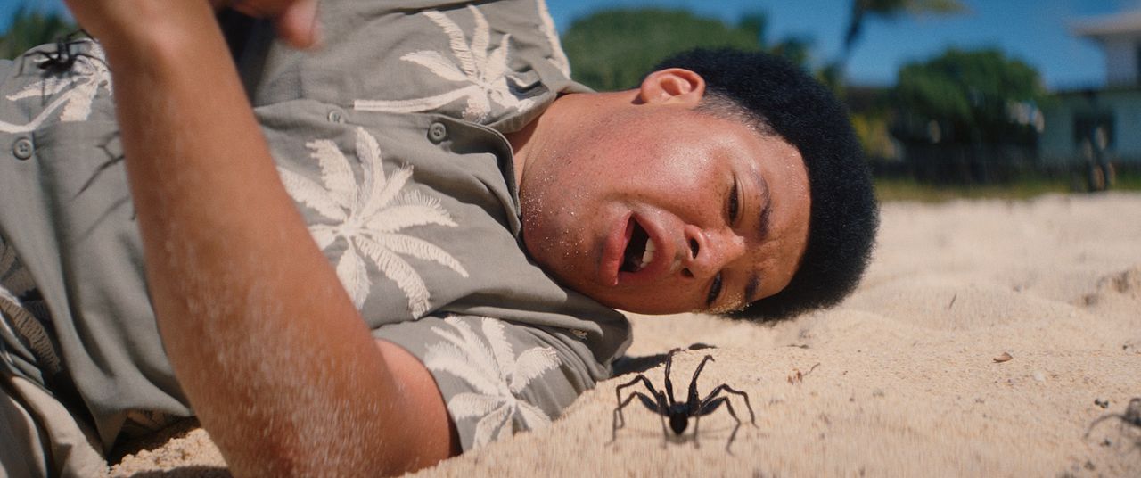 Spider Island : Photo