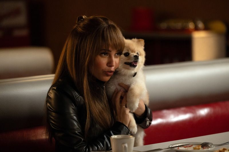 Wild Cards : Photo Vanessa Morgan