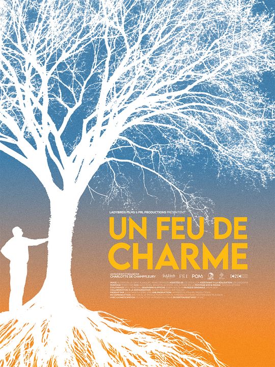 Un feu de charme : Affiche
