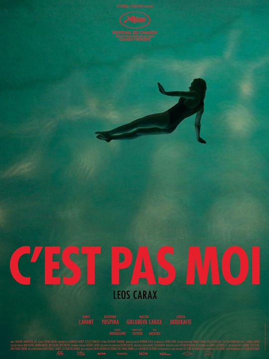 C'est pas moi : Affiche