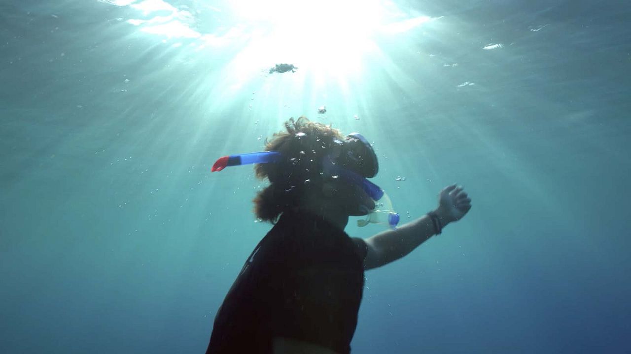 Titouan, les enfants du corail : Photo
