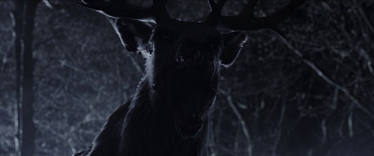 Bambi la vengeance : Photo