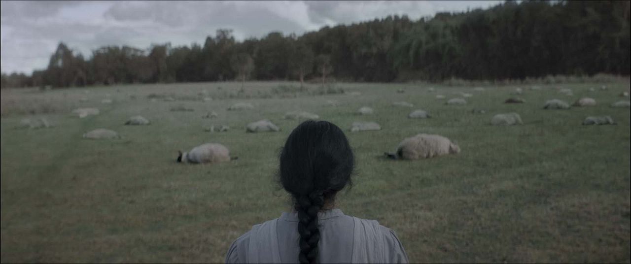 Brujeria - Sorcellerie : Photo
