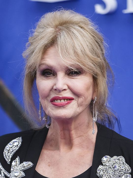 Affiche Joanna Lumley