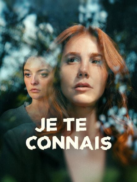Je te connais : Affiche