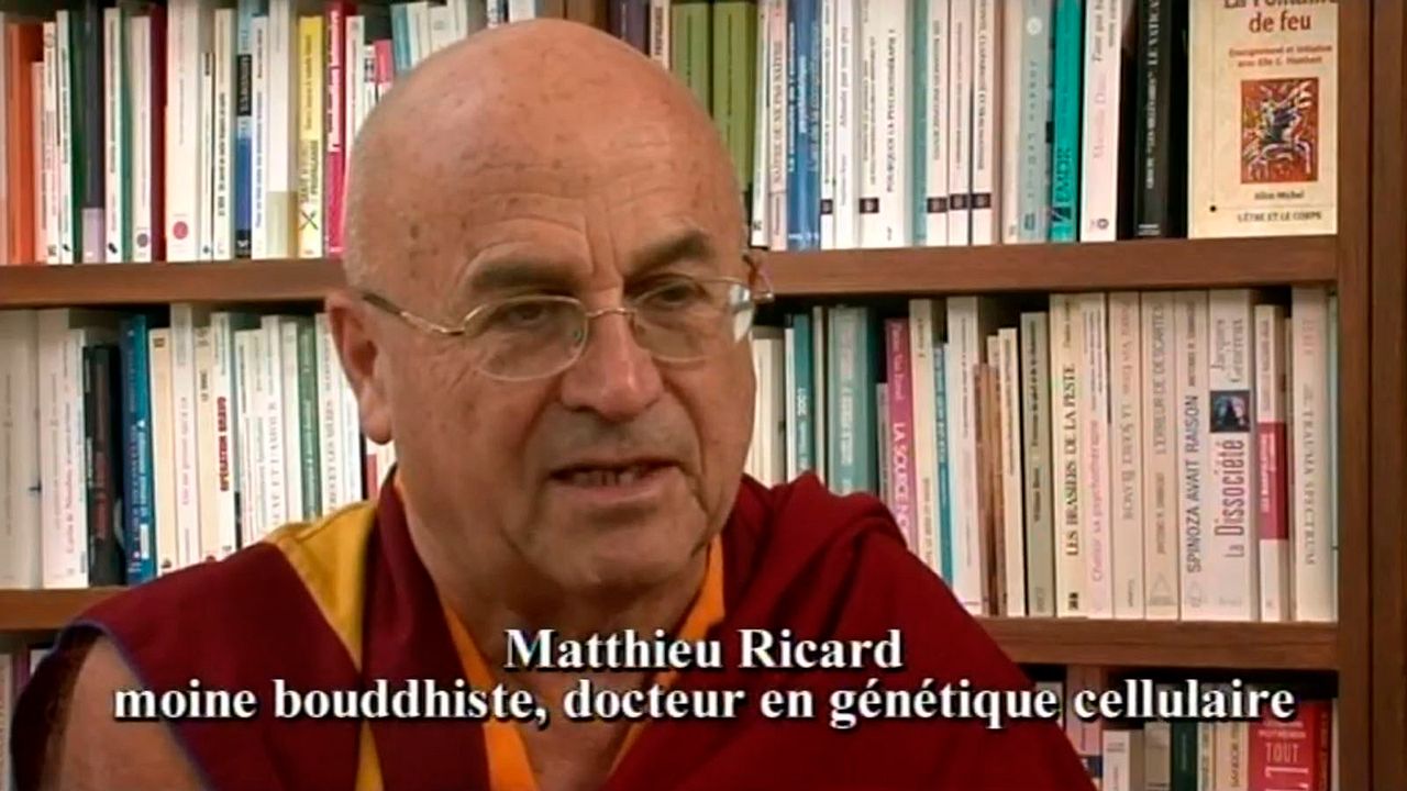 Les Chemins de l’empathie : Photo