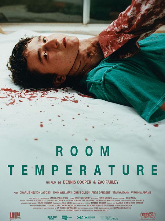 Room Temperature : Affiche