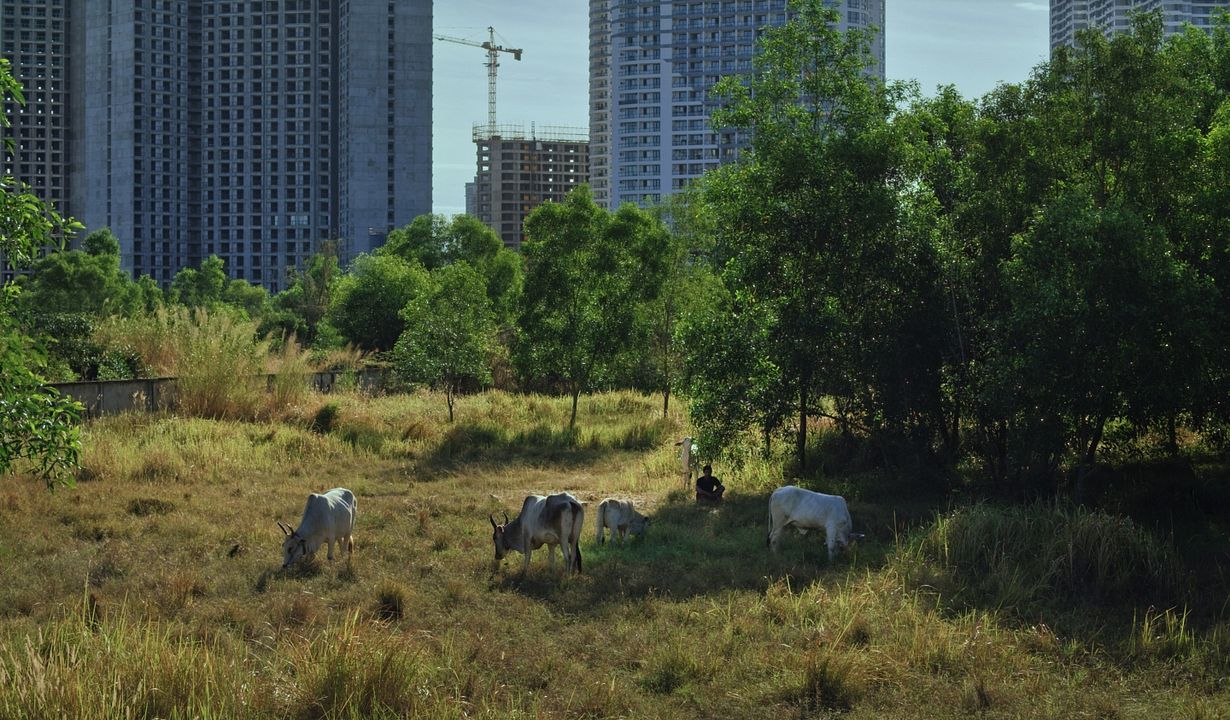 Promised Spaces : Photo