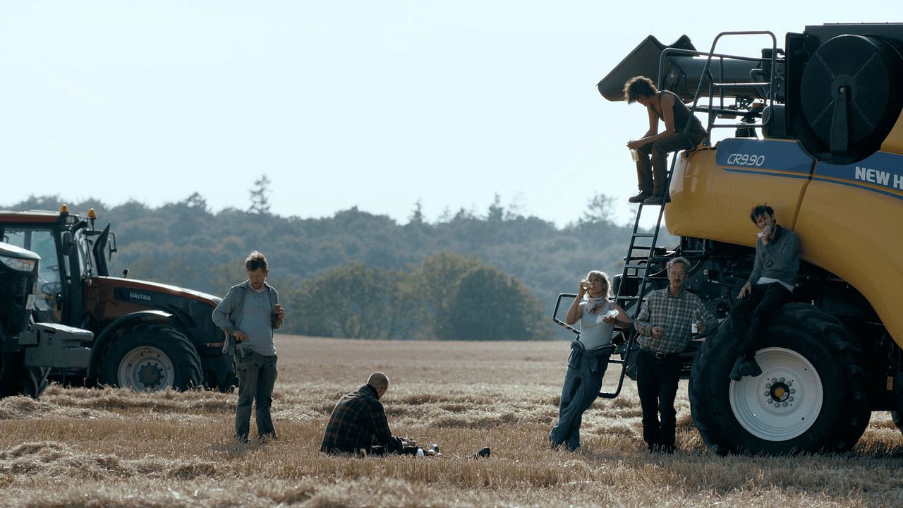 Harvest : Photo