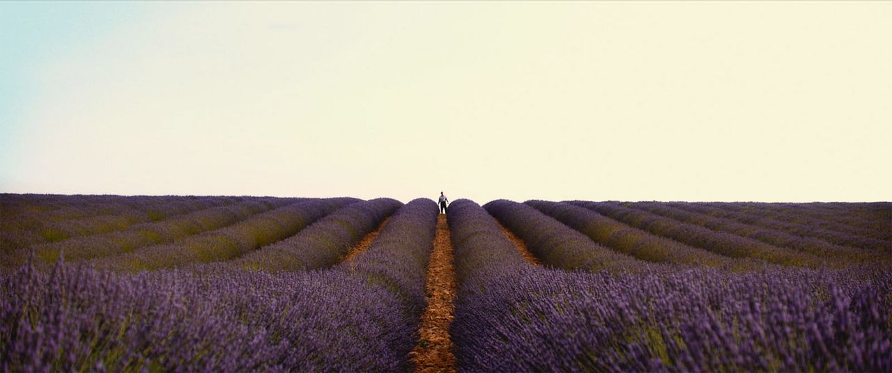 Valensole 1965 : Photo