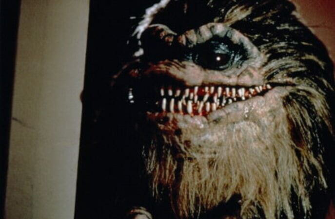 Critters : Photo
