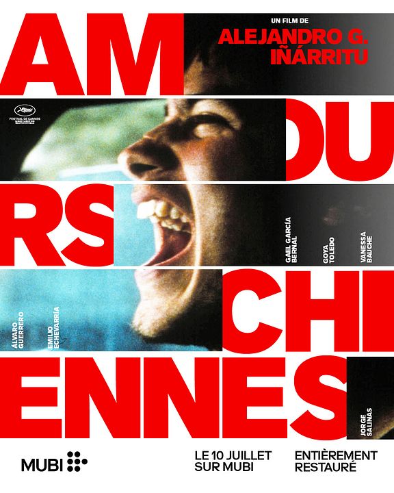 Amours chiennes : Affiche