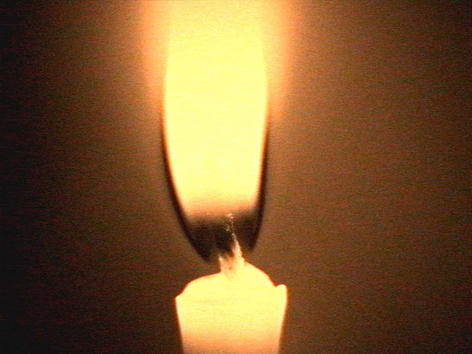 Programme 4 de la compétition de courts-métrages CORTO du Festival l’Europe autour de l’Europe : Photo