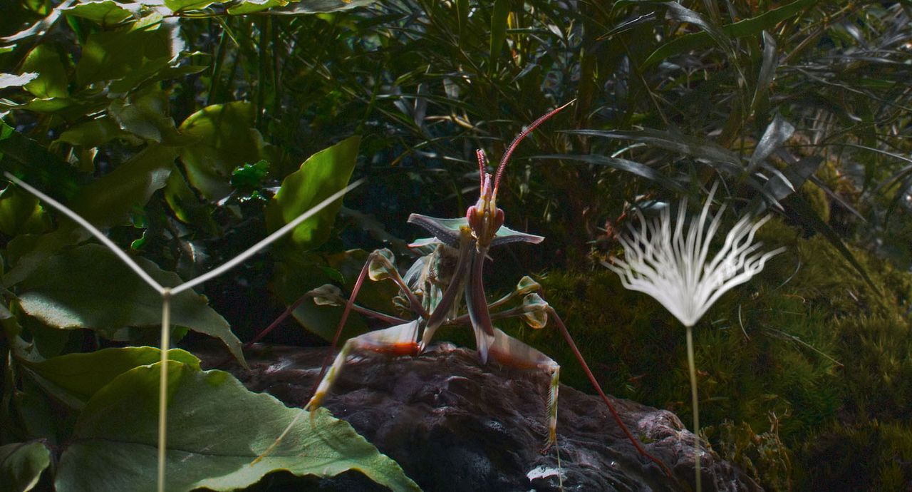 Planètes : Photo