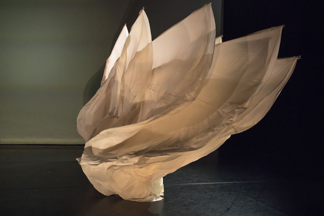 Loïe Fuller : danser la lumière : Photo