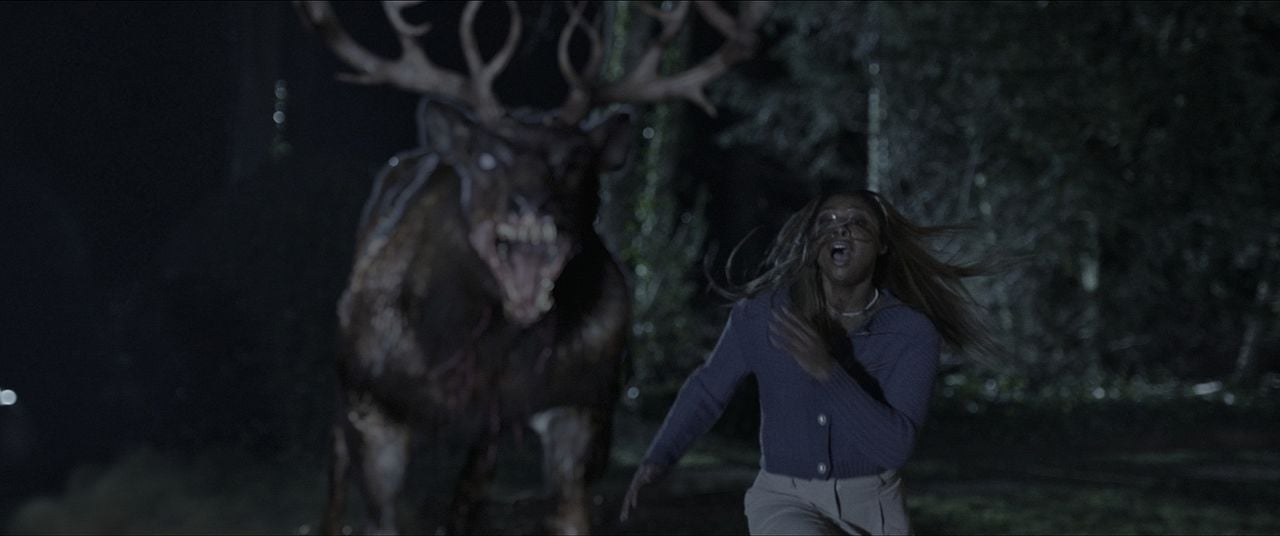 Photo du film Bambi la vengeance Photo 5 sur 7 AlloCiné