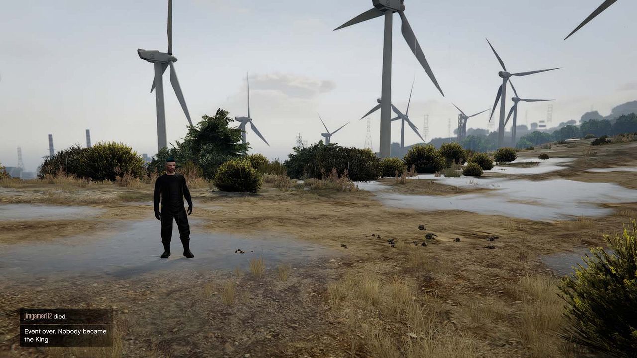 Grand Theft Hamlet : Photo