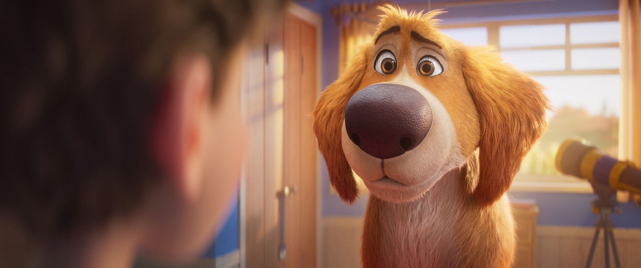 Biscuit le chien fantastique : Photo