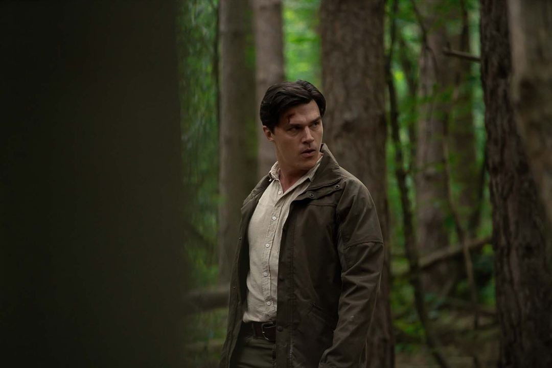 Don't Move : Photo Finn Wittrock