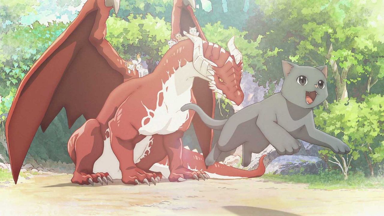 Cats and Dragon : Photo
