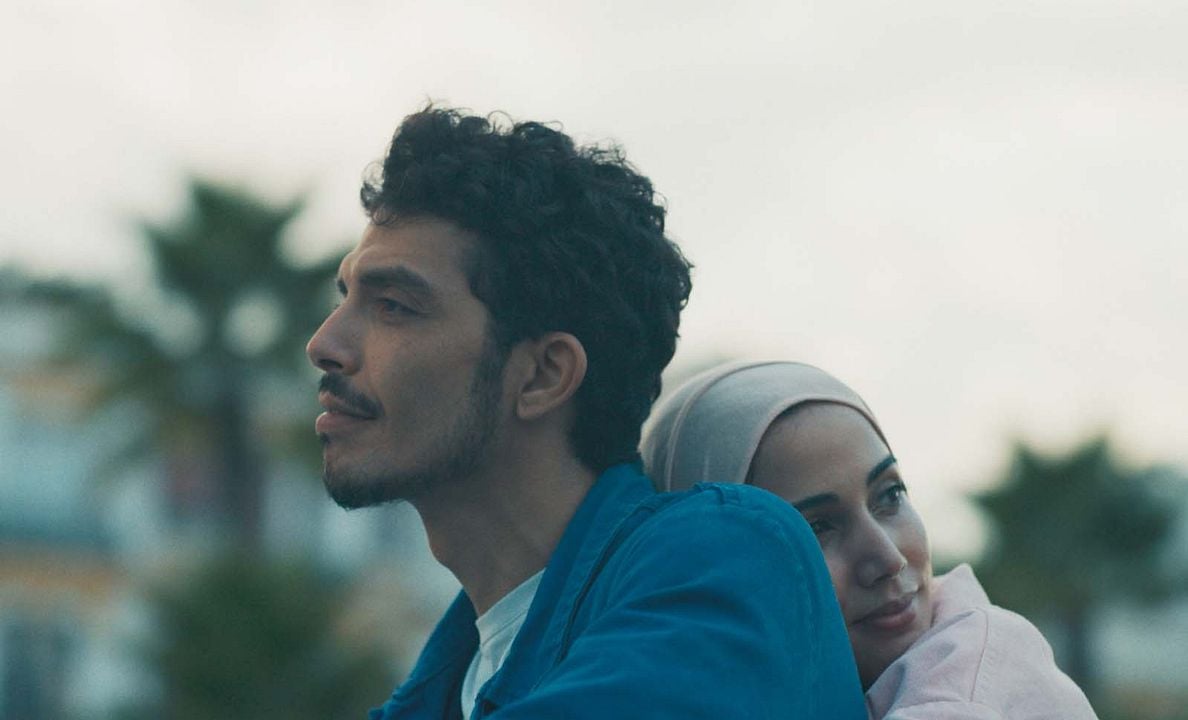 Derrière les palmiers : Photo Driss Ramdi