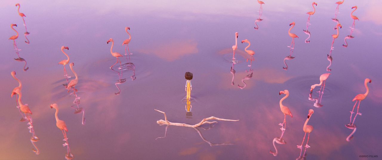 La Fille dans les nuages : Photo