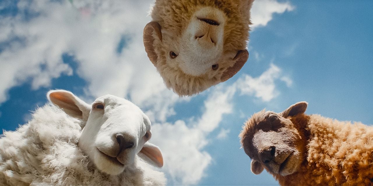 Les Moutons Détectives : Photo