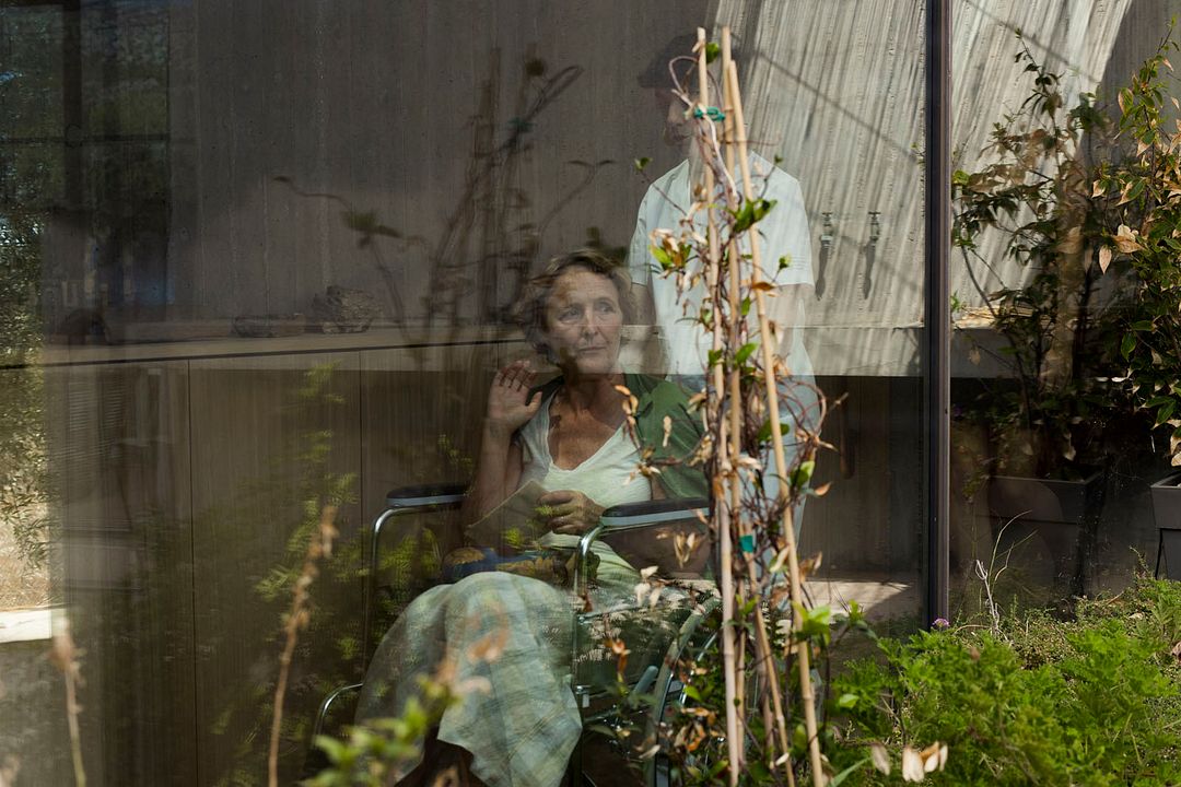 Hot Milk : Photo Fiona Shaw