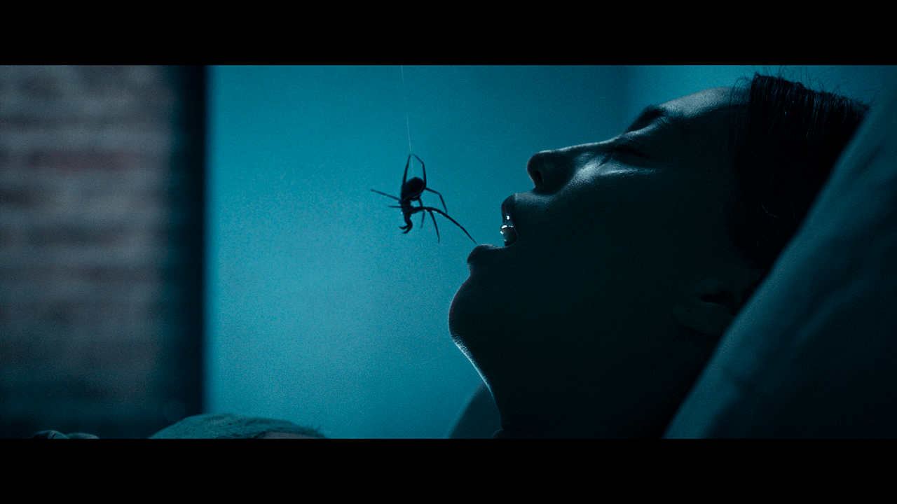 Crawlers : Photo