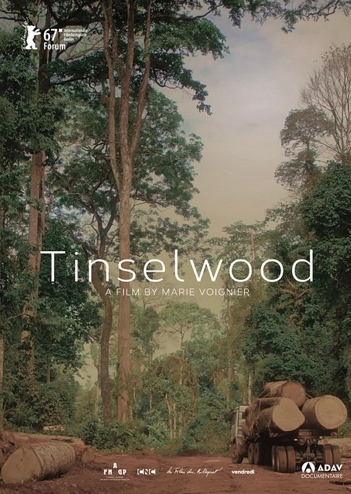 Tinselwood : Affiche