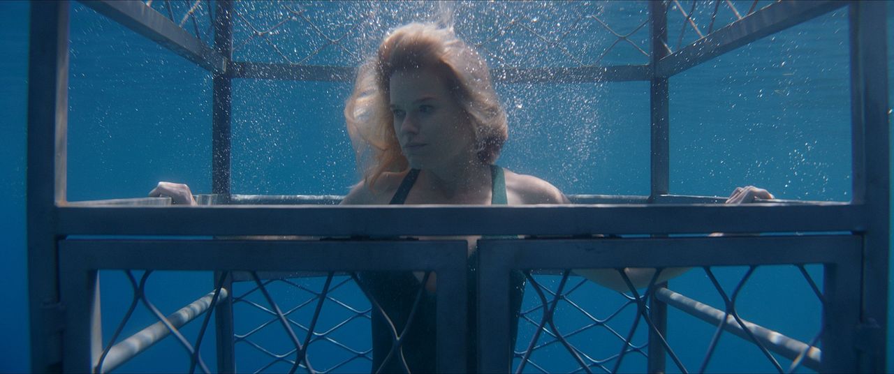 Photo Alice Eve