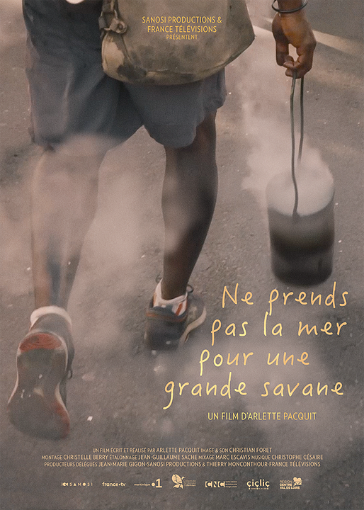 Ne prends pas la mer pour une grande savane : Affiche