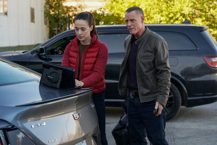 Chicago Police Department : Photo Jason Beghe, Marina Squerciati