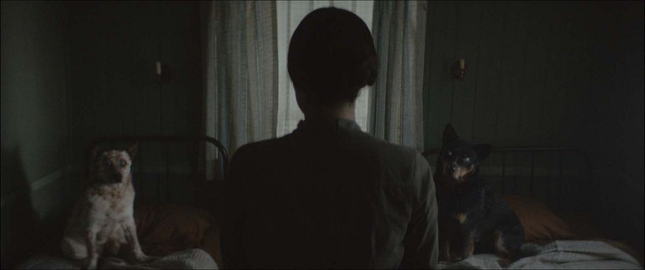 Brujeria - Sorcellerie : Photo