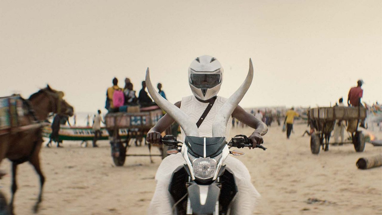 Gavagai, et autres malentendus : Photo