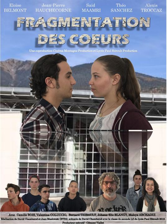 Fragmentation des cœurs : Affiche