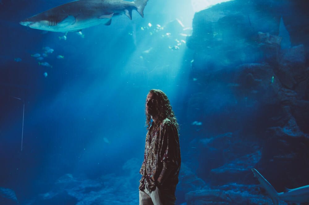 Panda : Panda : Photo Julien Doré - 6 sur 14 - AlloCiné