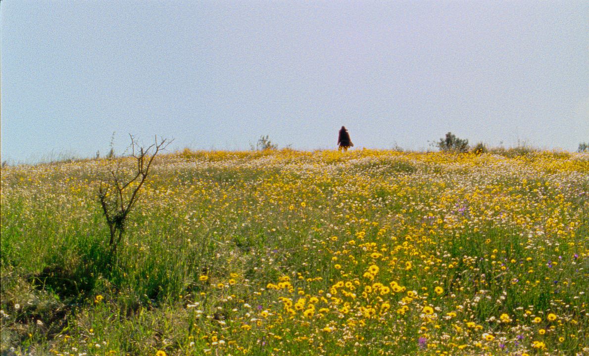 Les Saisons : Photo