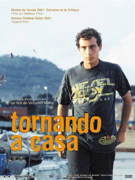 Tornando a casa : Affiche