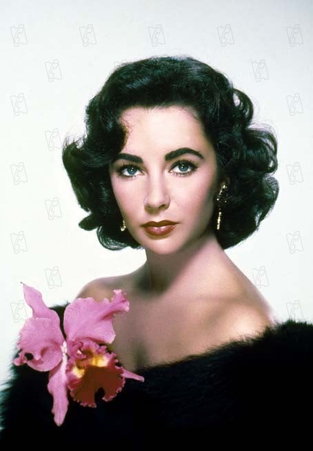 Photo Elizabeth Taylor