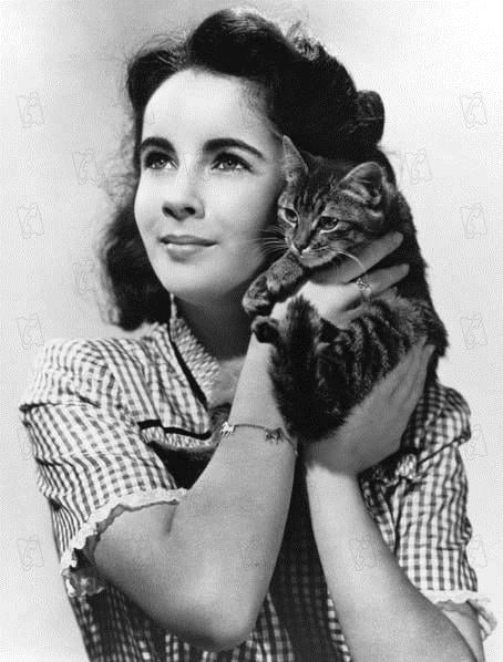 Photo Elizabeth Taylor