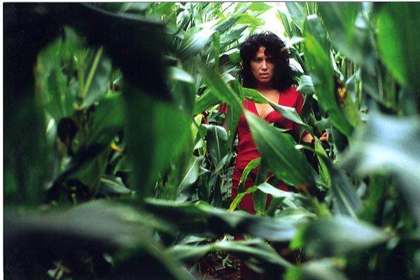 Marie et le loup : Photo Zaïda Ghorab-Volta