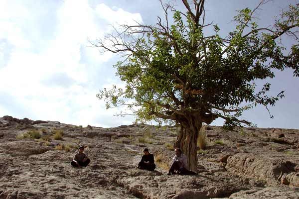 Rêves de sable : Photo Sepideh Farsi