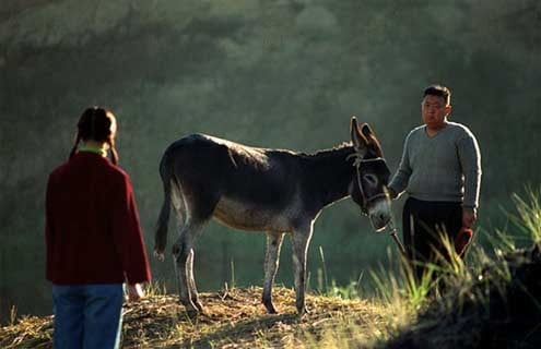 Jour et nuit : Photo Wang Chao