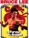 La Fureur du dragon : Affiche