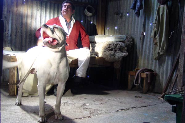 Bombon el perro : Photo Carlos Sorín