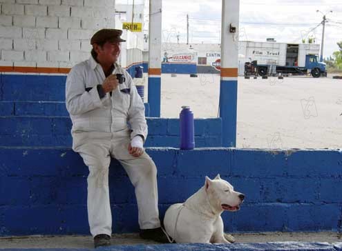 Bombon el perro : Photo Juan Villegas, Carlos Sorín