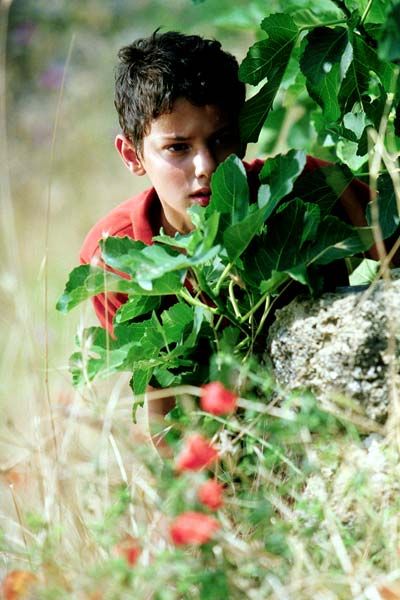 L'Eté où j'ai grandi : Photo Giuseppe Cristiano