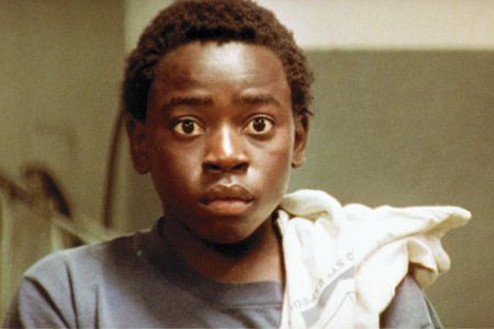 La Cité des hommes : Photo