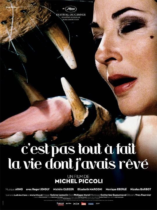 C'est pas tout à fait la vie dont j'avais rêvé : Affiche